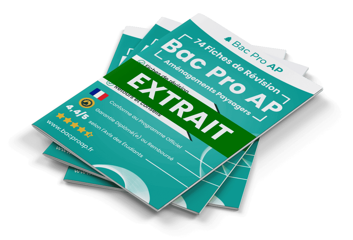 Extrait Fiches Révision gratuites Bac Pro AP