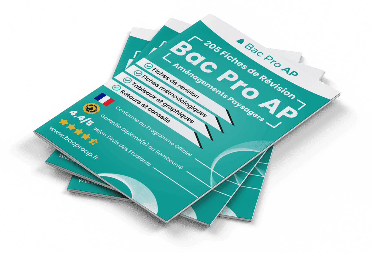 205 Fiches de Révision pour le Bac Pro AP